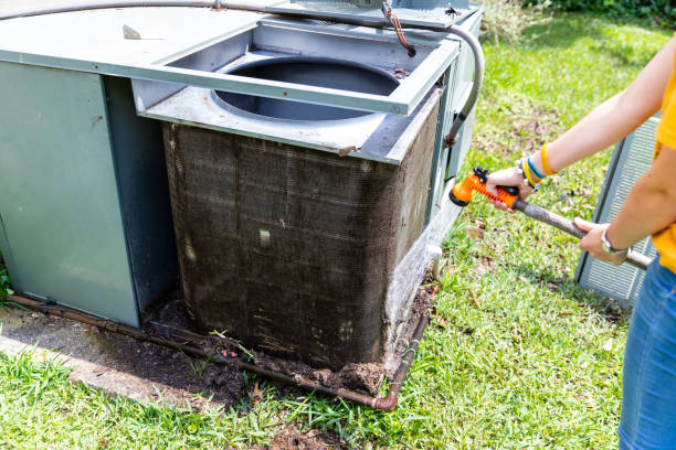 Best Home Air Vent Cleaning  in Delano, MN