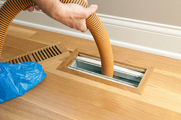 Best Ductwork Cleaning Services  in Delano, MN