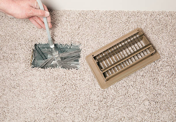 Best Affordable Duct Cleaning Services  in Delano, MN