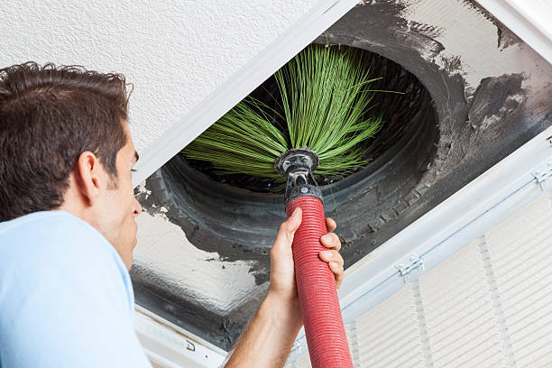 Best HVAC Duct Inspection Services  in Delano, MN