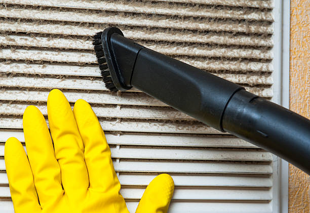 Best Affordable HVAC Duct Cleaning  in Delano, MN